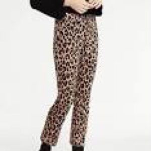 Leopard Velvet Pants